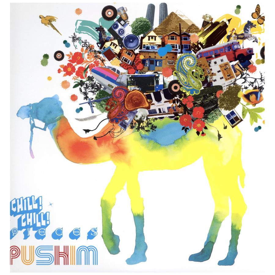 PUSHIM VIBES UP 12インチシングル 【公式通販】