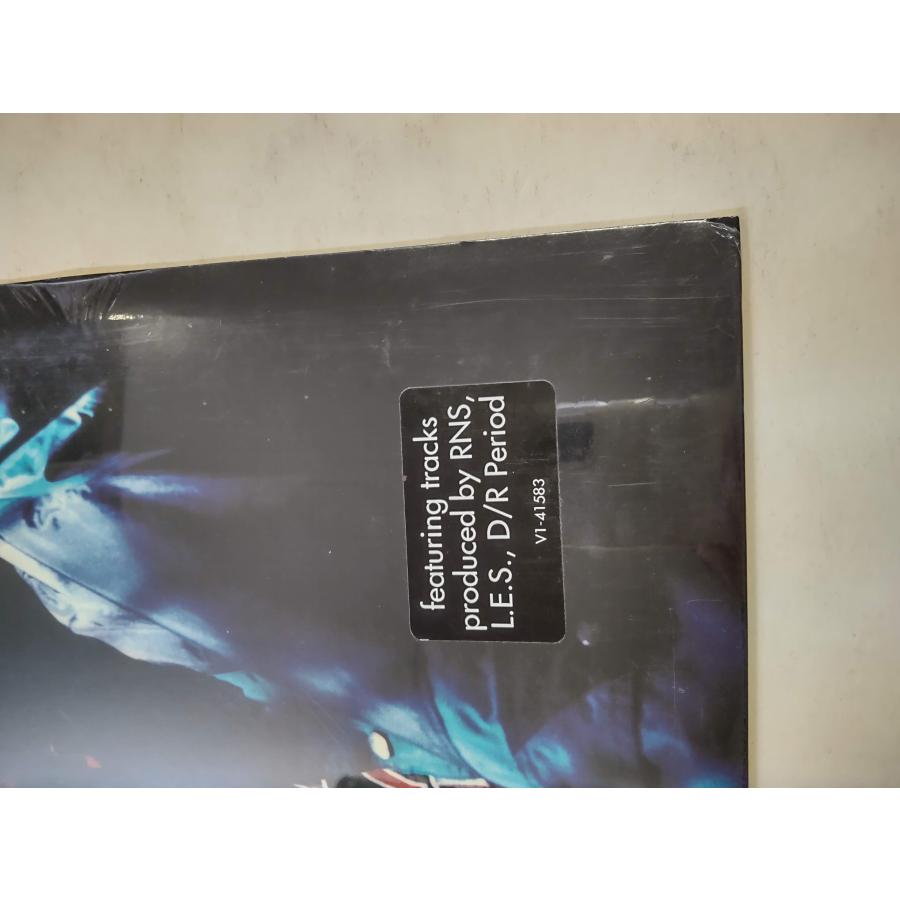 送料込み【輸入盤】LP the lost generation shyheim レコード】SHYHEIM - THE LOST GENERATION LP US 1996年リリース