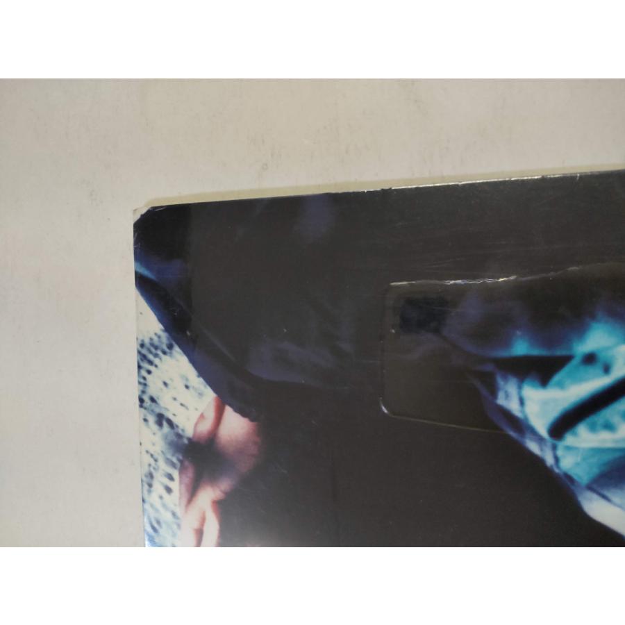 レコード】SHYHEIM - THE LOST GENERATION LP US 1996年リリース