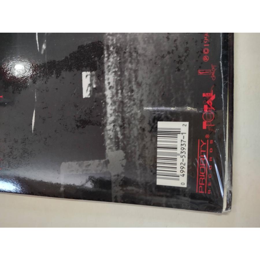 LIL' 1/2 DEAD: THE DEAD HAS RISEN シールド！ LIL' 1/2 DEAD: THE DEAD HAS RISEN シールド！ The Dead Has