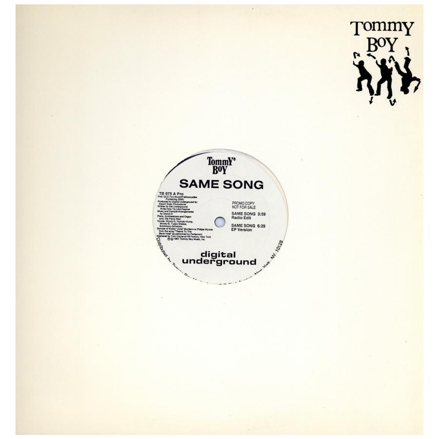 SUMTHIN SERIOUS G-RAP G-FUNK レコード