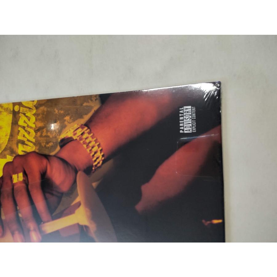 2PAC / Nu-Mix Klazzics 2枚組レコード2003年リリース レコード】2PAC - NU-MIXX KLAZZICS 2xLP US 2003年リリース