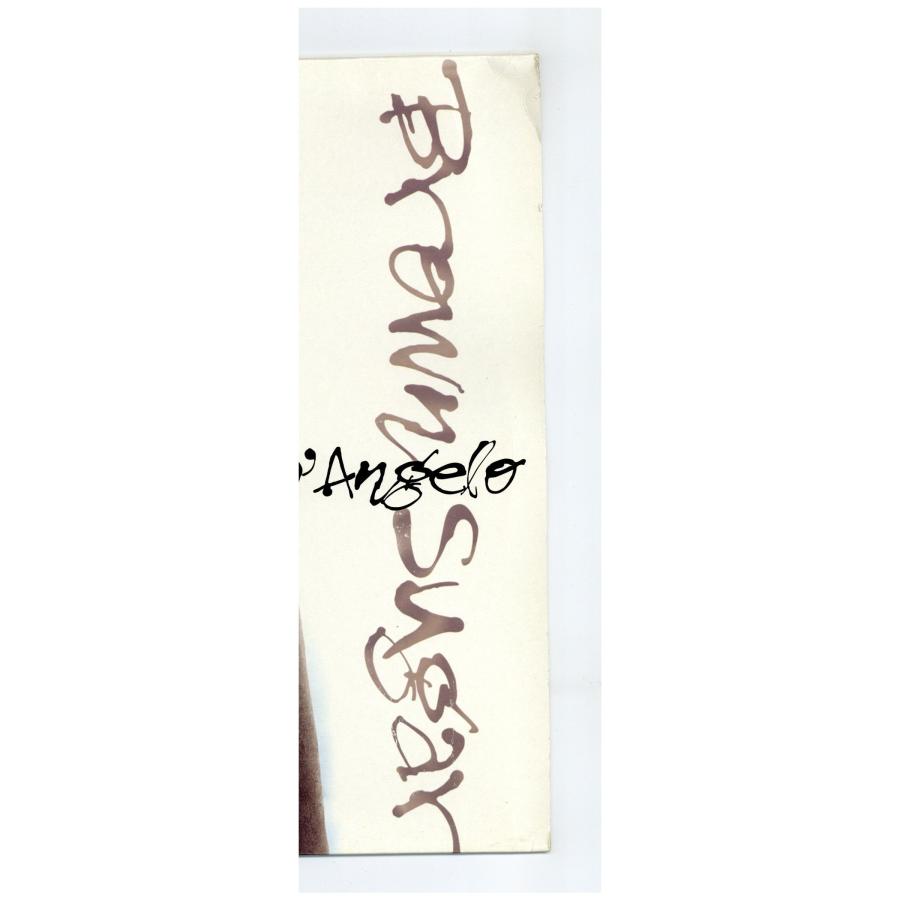レコード】D'ANGELO - BROWN SUGAR (SOUL INSIDE 808 MIX) 12