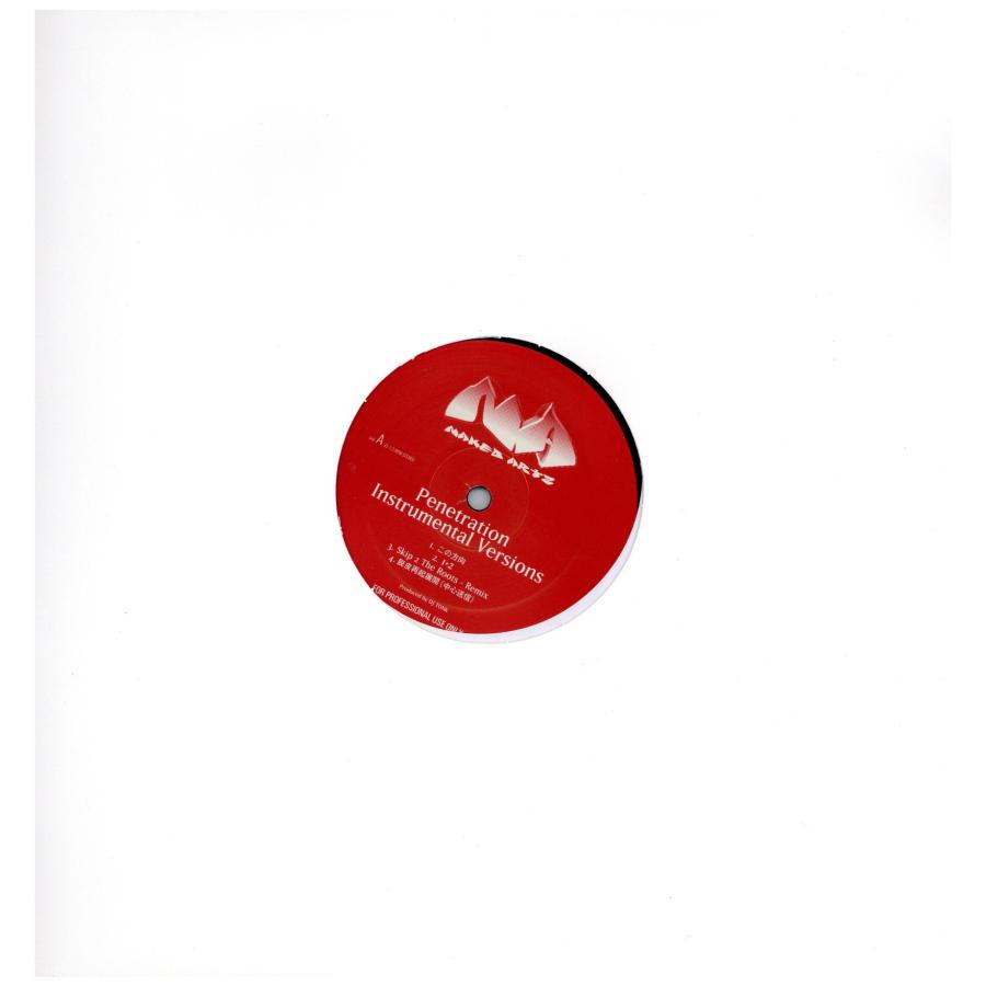 レコード】NAKED ARTS - PENETRATION INSTRUMENTAL VERSIONS LP JAPAN 