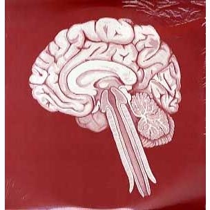 レコード】SHINGO2 - 400 INSTRUMENTALS 3xLP JAPAN 2009年リリース  