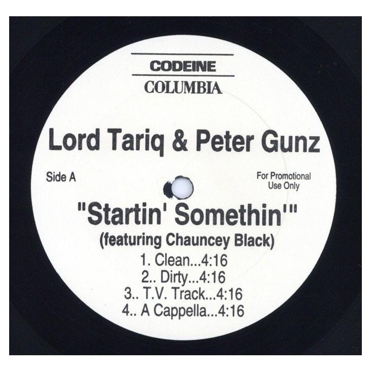 レコード】Lord Tariq & Peter Gunz - Startin