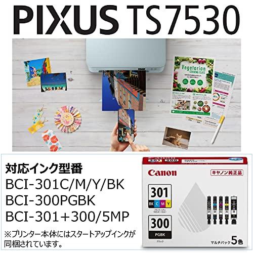 Canon プリンター A4インクジェット複合機 PIXUS TS7530 ブルー 2021年モデル テレワーク向け 5色・独立型・対応インクB｜free-store78｜02