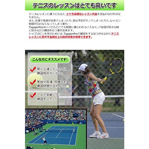1日2分でトップスピンを学ぶ TopspinPro(トップスピンプロ) 世界120