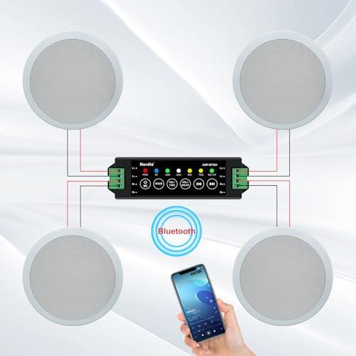 Herdio 600W ブルートゥース 天井埋め込み型スピーカー 2ウェイ