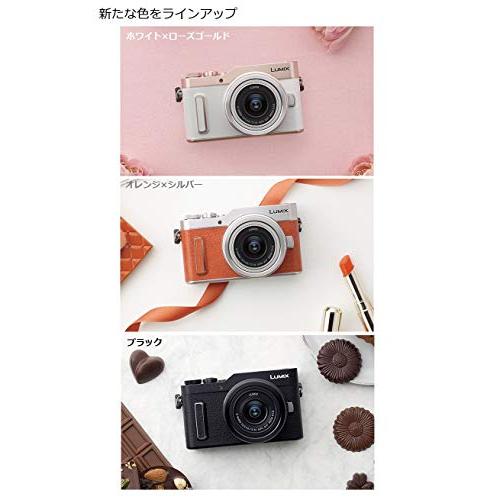 パナソニック ミラーレス一眼カメラ ルミックス GF10 ダブル