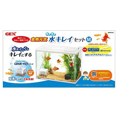 GEX 金魚元気 ぶくぶく水キレイセットM 初めて飼育簡単セット ロカボーイS付｜free-store78｜04