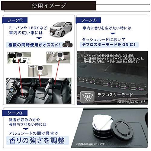 カーメイト 車用 消臭芳香剤 ブラング ソリッド 置き型 詰替用 ワイルドベリー ブラック 60g×3個 G25T｜free-store78｜04