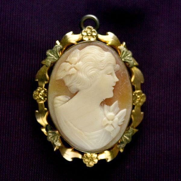 イッタラ バード シエッポ （ブラウン×クリア） イッタラ バード