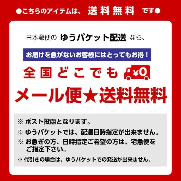 Led Zeppelin レッド・ツェッペリン Tシャツ 1977 US TOUR SWAN