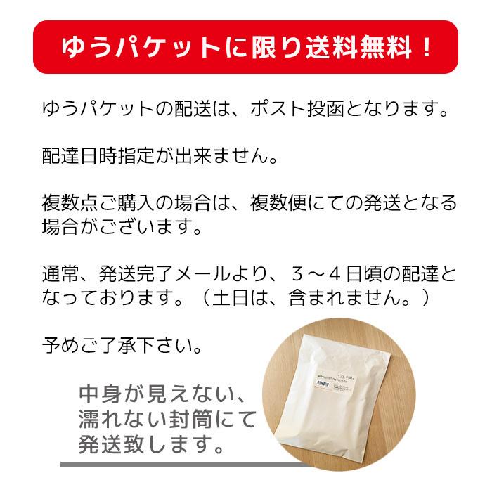 RUN DMC ランディエムシー ブルービンテージタイプ ブルー ロゴ T