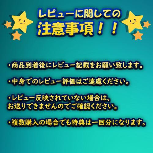 豪華BOX終結！ 第3弾 ポケモンカード 絶版BOXくじ 全100口 未開封シュリンク付き BOX ポケカ ポケモンカードゲーム オリパ 福袋 抽選 オリジナルパック｜free-world｜10