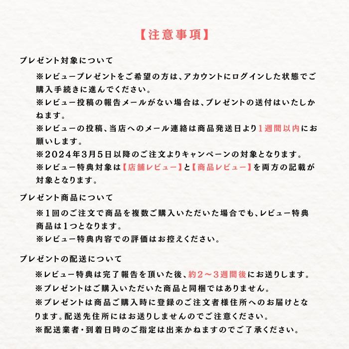 ポケモンカードゲーム プロモパック付き! 1月24日発売 予約 ポケモンカードゲーム プロモパック付き! 1月24日発売 予約