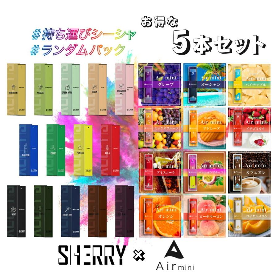 お気に入り 持ち運びシーシャ ５本セット 新品未使用Air mini エアミニ