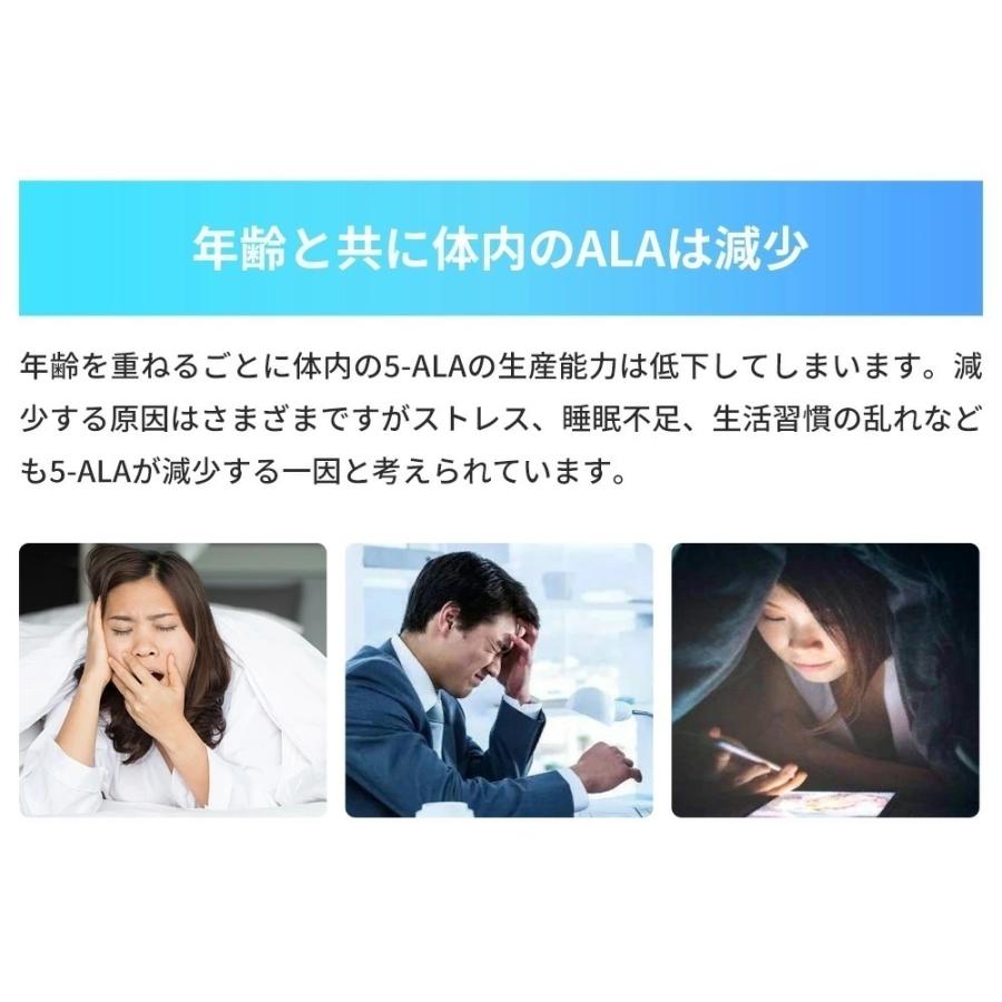 価格交渉ok送料無料 10個セット 5 Ala ファイブアラ サプリメント 日本製 アラシールド 東亜産業 アミノ酸 飲むシールド 5ala 30粒入 クエン酸
