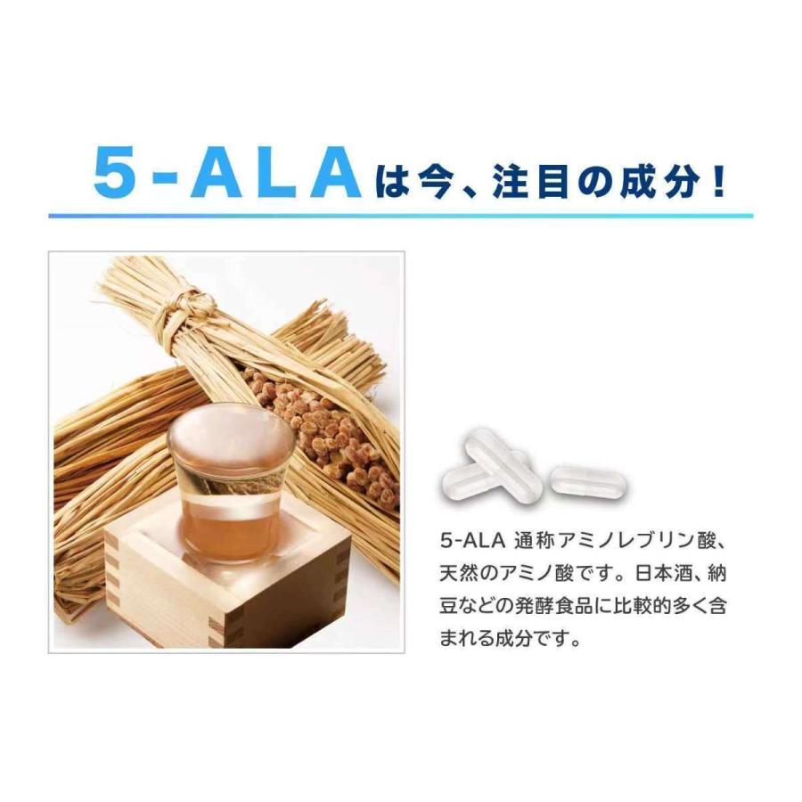 価格交渉ok送料無料 10個セット 5 Ala ファイブアラ サプリメント 日本製 アラシールド 東亜産業 アミノ酸 飲むシールド 5ala 30粒入 クエン酸