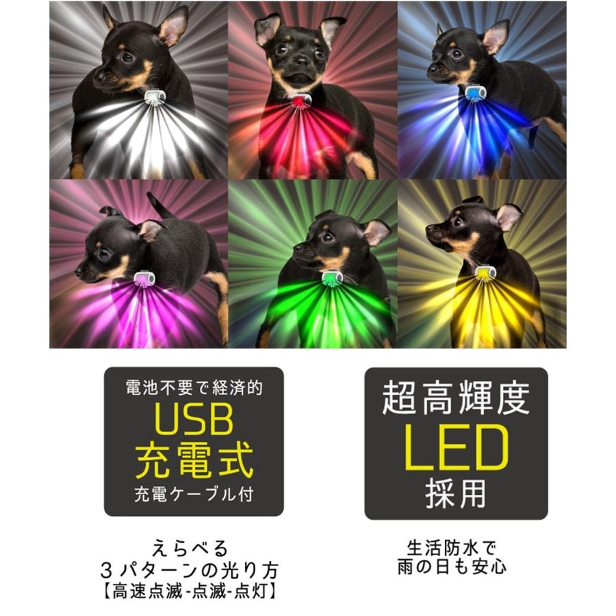 ハイパーブリンカーズ EX ブルー ペット ペット用 犬 犬用 小型犬 おさんぽライト お散歩 ライト 夜 明るい USB LED 充電 プラッツ PLATZ｜freebirdcorp｜06