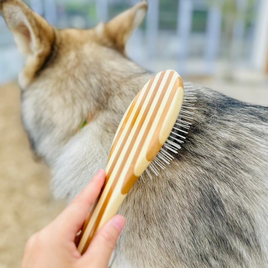  FOX 木製金属ピンブラシ 専用ポーチ付き BASS BRUSHES ペット用ブラシ ピンブラシ 獣毛ブラシ 猪毛 もつれ