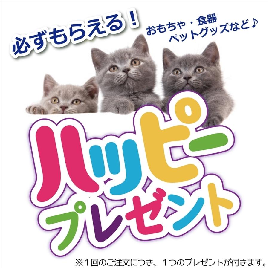 アウトレット 訳あり パッケージ不良 猫 おもちゃ 電動 知育 猫じゃらし ぐるぐる回る 単三電池 2本 Coockoo Foxy フォクシー ピンク Cc Free Bird Yahoo 店 通販 Yahoo ショッピング
