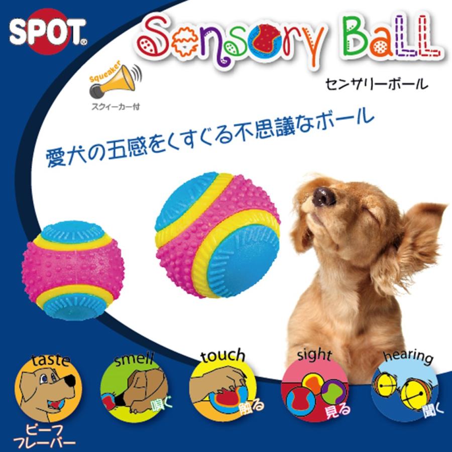 PLATZ(ペット) 犬 ボール おもちゃ ドッグトイ カラフル 五感 PLATZ(ペット) 犬 ボール おもちゃ ドッグトイ カラフル 五感