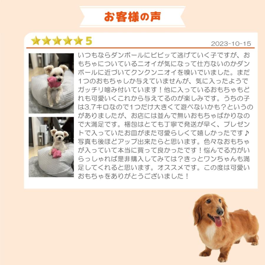 犬 おもちゃ 犬おもちゃ プレゼント 人気 オモチャ セット 詰め合わせ