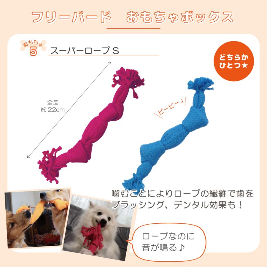 犬 おもちゃ 犬おもちゃ プレゼント 人気 オモチャ セット 詰め合わせ