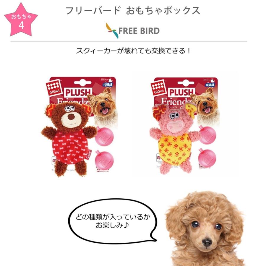 21春の新作 犬 おもちゃ トイプードル プードル Poodle 小型犬 噛む かわいい ぬいぐるみ ギフト おもちゃの詰め合わせbox フリバ おもちゃボックス Cisama Sc Gov Br