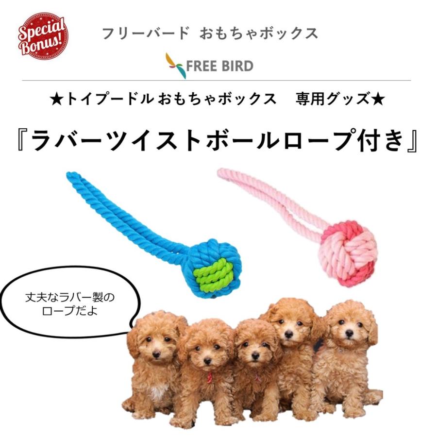 21春の新作 犬 おもちゃ トイプードル プードル Poodle 小型犬 噛む かわいい ぬいぐるみ ギフト おもちゃの詰め合わせbox フリバ おもちゃボックス Cisama Sc Gov Br