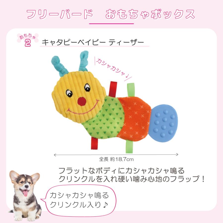 犬 おもちゃ 犬おもちゃ 福袋 いぬ パピー 小型犬 セット ボール