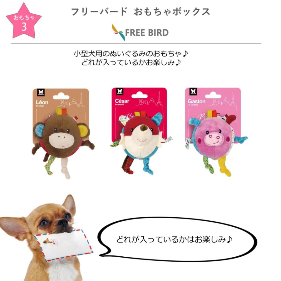 犬 おもちゃ チワワ Chihuahua セット ぬいぐるみ ギフト プレゼント チワワ用 小型犬 おもちゃの詰め合わせ BOX おもちゃボックス  :FB00004:FREE BIRD Yahoo!店 - 通販 - Yahoo!ショッピング