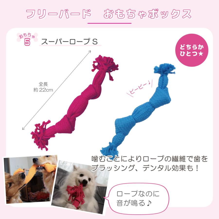 犬 おもちゃ 犬おもちゃ 福袋 いぬ パピー 小型犬 セット ボール