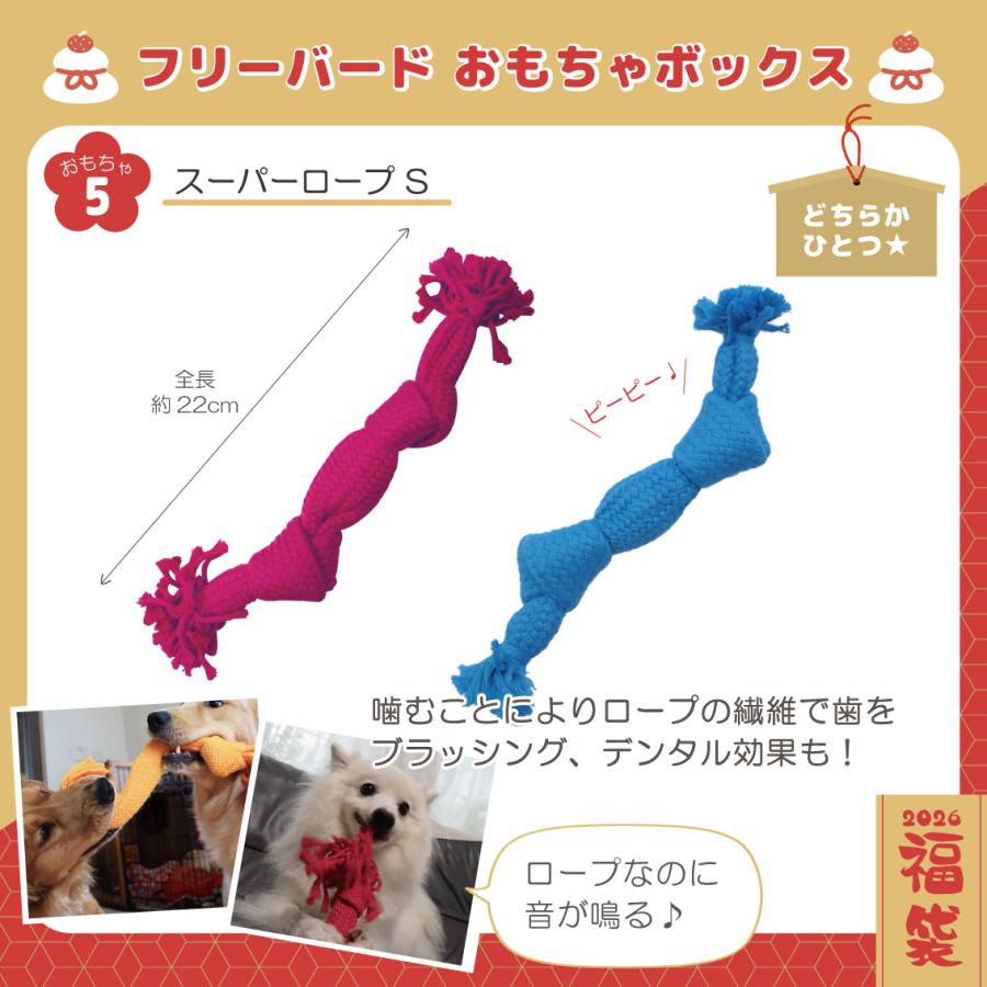 犬 おもちゃ 犬おもちゃ 福袋 いぬ パピー 小型犬 セット ボール