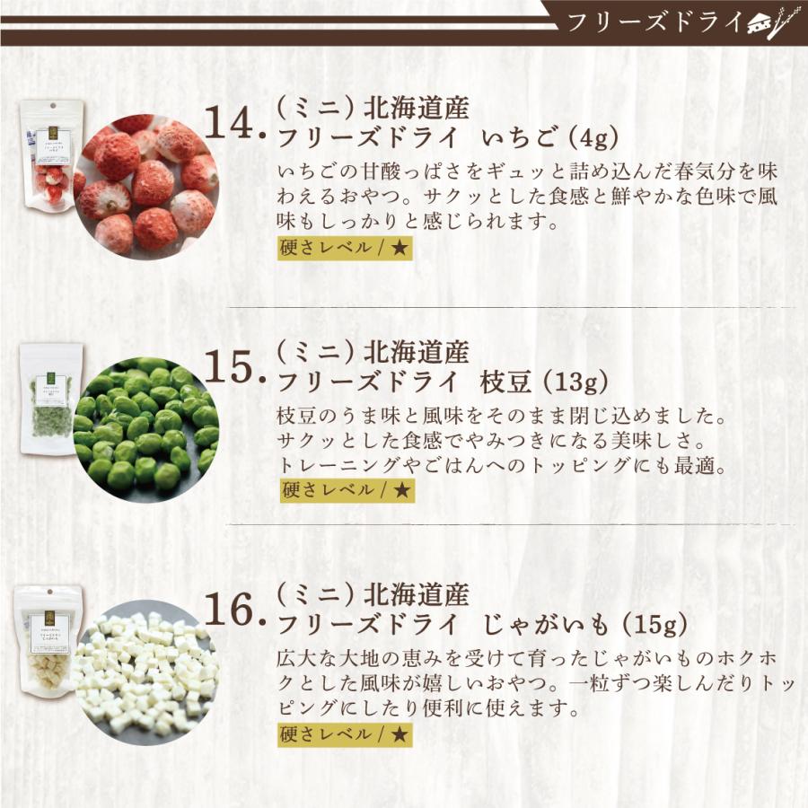 犬 おやつ 無添加 国産 ギフト フリーズドライ 野菜 フルーツ 鶏 豚 魚