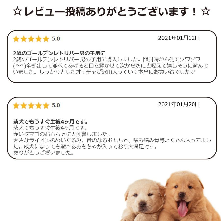 犬 おもちゃ セット ぬいぐるみ ギフト 大型犬 プレゼント おもちゃの詰め合わせ Box フリーバード フリバ おもちゃボックス Big 大型犬専用 Fb Free Bird Yahoo 店 通販 Yahoo ショッピング