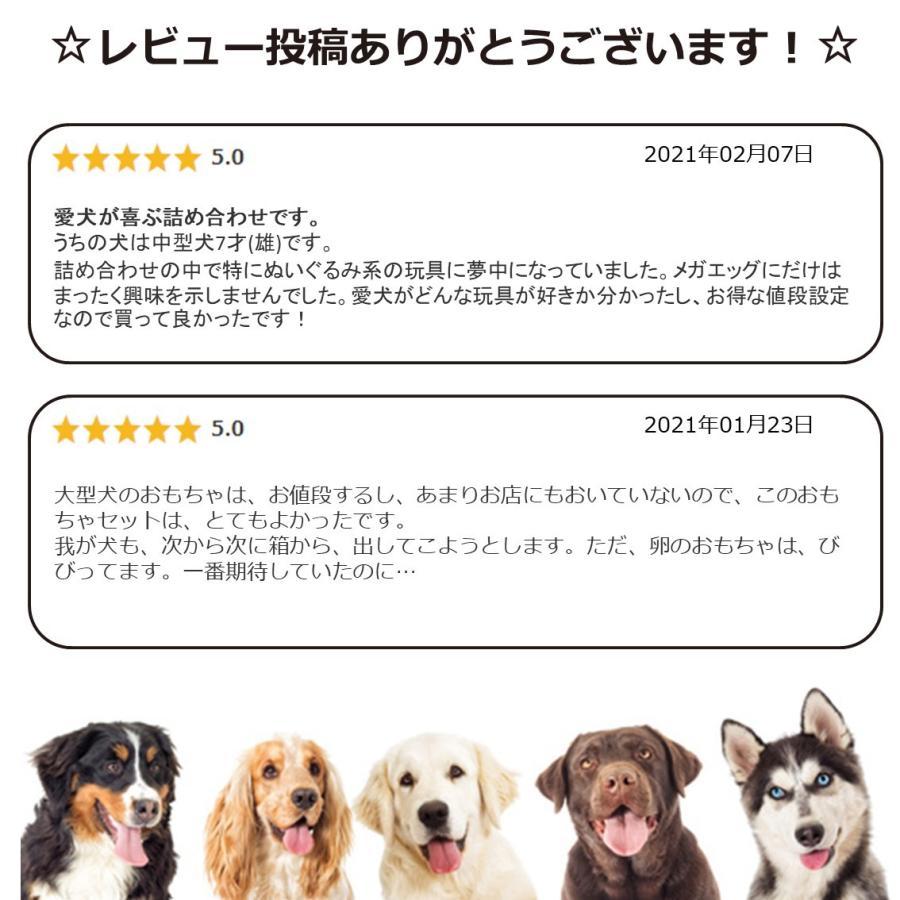 犬 おもちゃ セット ぬいぐるみ ギフト 大型犬 プレゼント おもちゃの詰め合わせ Box フリーバード フリバ おもちゃボックス Big 大型犬専用 Fb Free Bird Yahoo 店 通販 Yahoo ショッピング