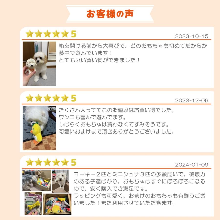 犬おもちゃ 中型犬 セット 詰め合わせ 中型犬用 ロープ ボール オモチャ ギフト プレゼント デンタル 犬用 おもちゃボックス