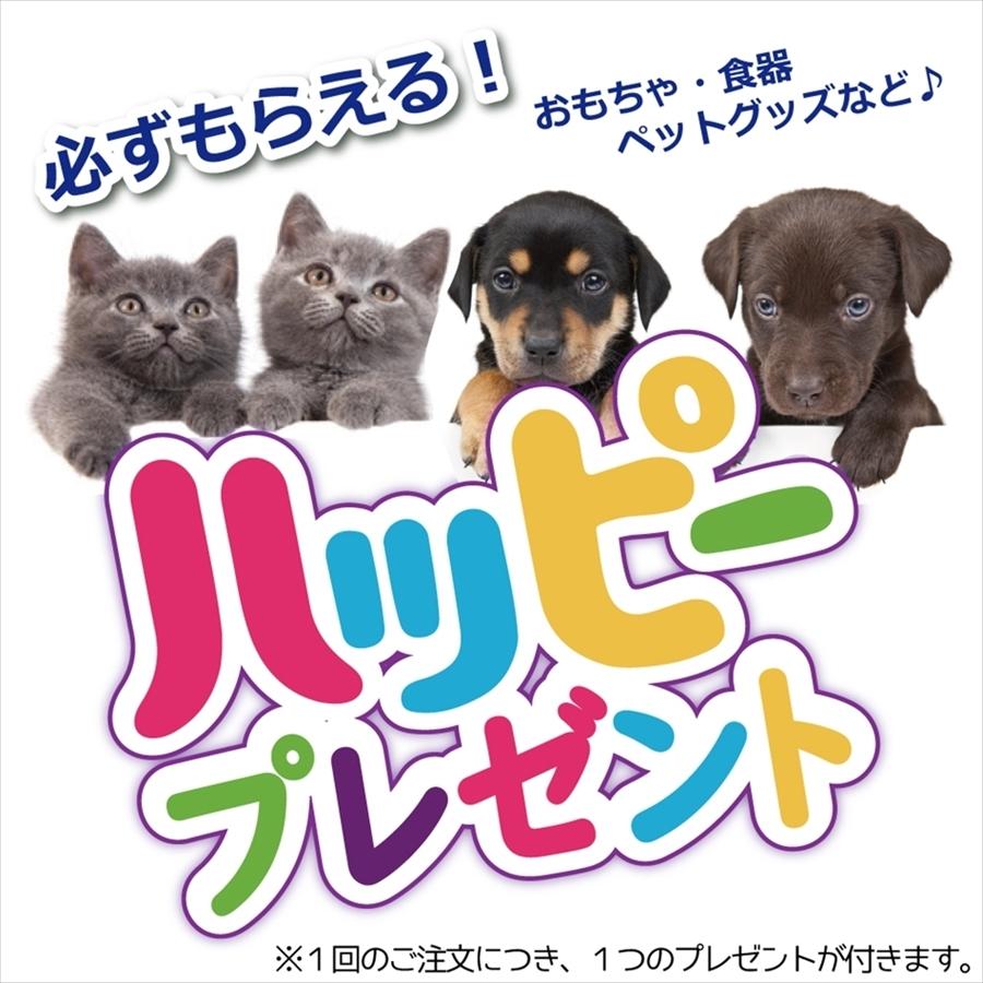 犬 おやつ 国産 バラエティ スティック 無添加 無香料 無着色 素材のまんま厳選おやつ おやつボックス バラエティスティック 5点セット Fb Free Bird Yahoo 店 通販 Yahoo ショッピング