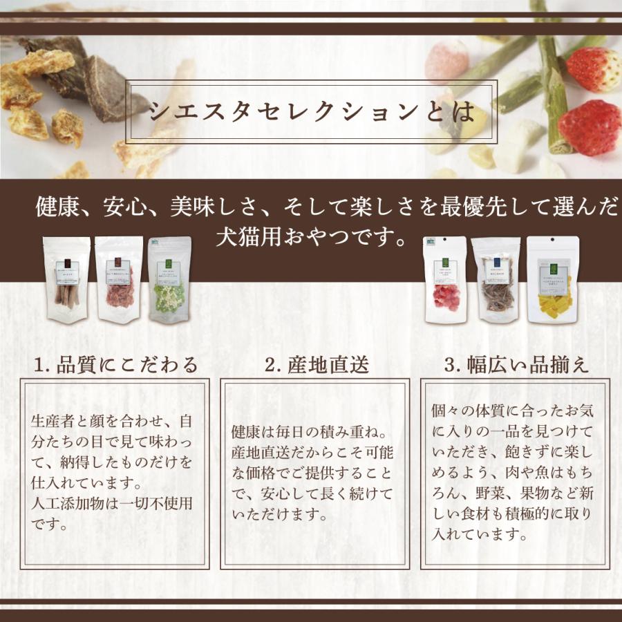 犬 おやつ 無添加 国産 福袋 ギフト レギュラーサイズ フリーズドライ