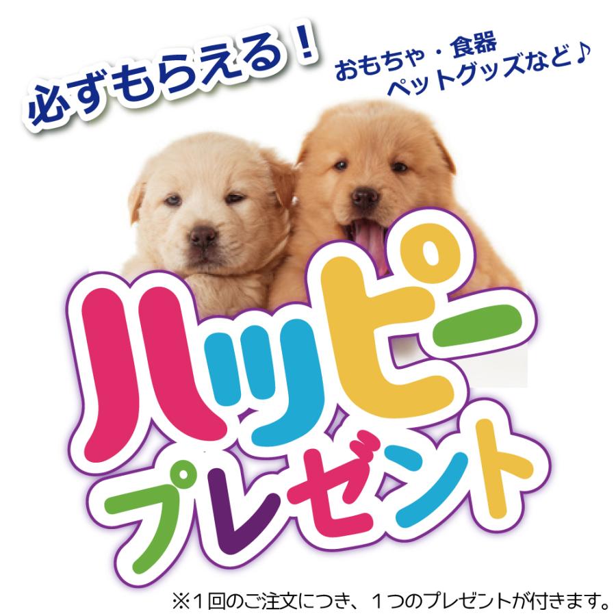 ビターアップル スプレー 送料無料 4本セット ペット 犬 しつけ トレーニング 食ふん りんご 苦み にがみ成分 噛まない 236ml 8oz Gr118 4 Free Bird Yahoo 店 通販 Yahoo ショッピング