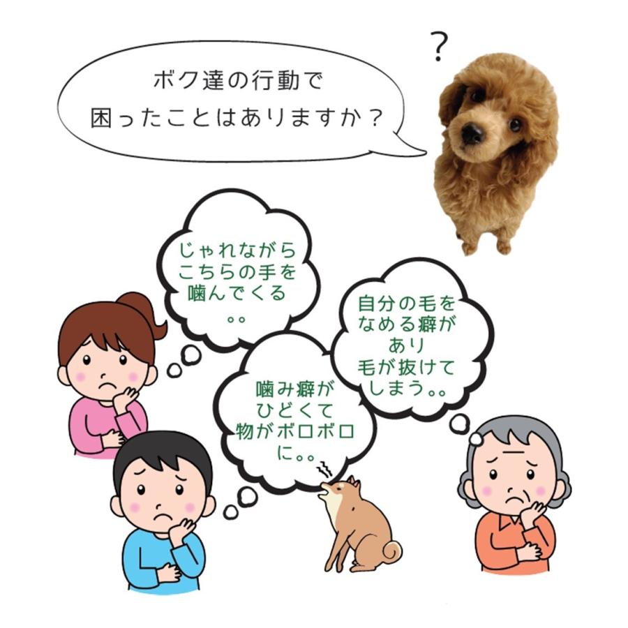 ビターアップル スプレー ペット 犬 しつけ トレーニング 食ふん りんご 苦み にがみ成分 噛まない 236ml 8oz Gr118 Free Bird Yahoo 店 通販 Yahoo ショッピング