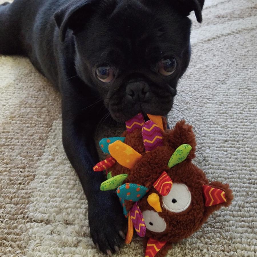 GiGwi ぬいぐるみ タグ たくさん やわらかい カラフル