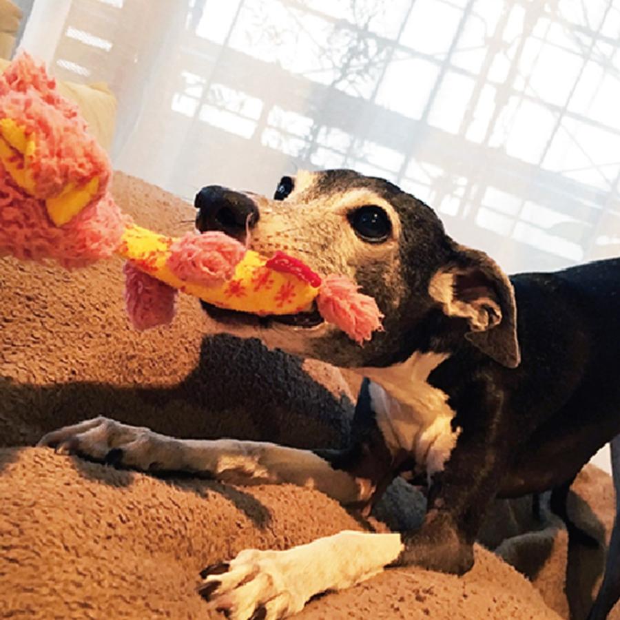 GiGwi ぬいぐるみ やわらかい 犬 おもちゃ 中綿なし 知育トイ