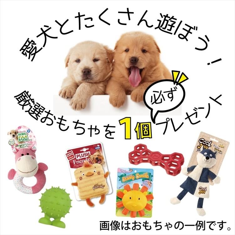 犬 犬おもちゃ ペット用 おもちゃ ギグウィ プラッツ Platz Gigwi ギグウィ パピーボール 3p Gw6409 Free Bird Yahoo 店 通販 Yahoo ショッピング
