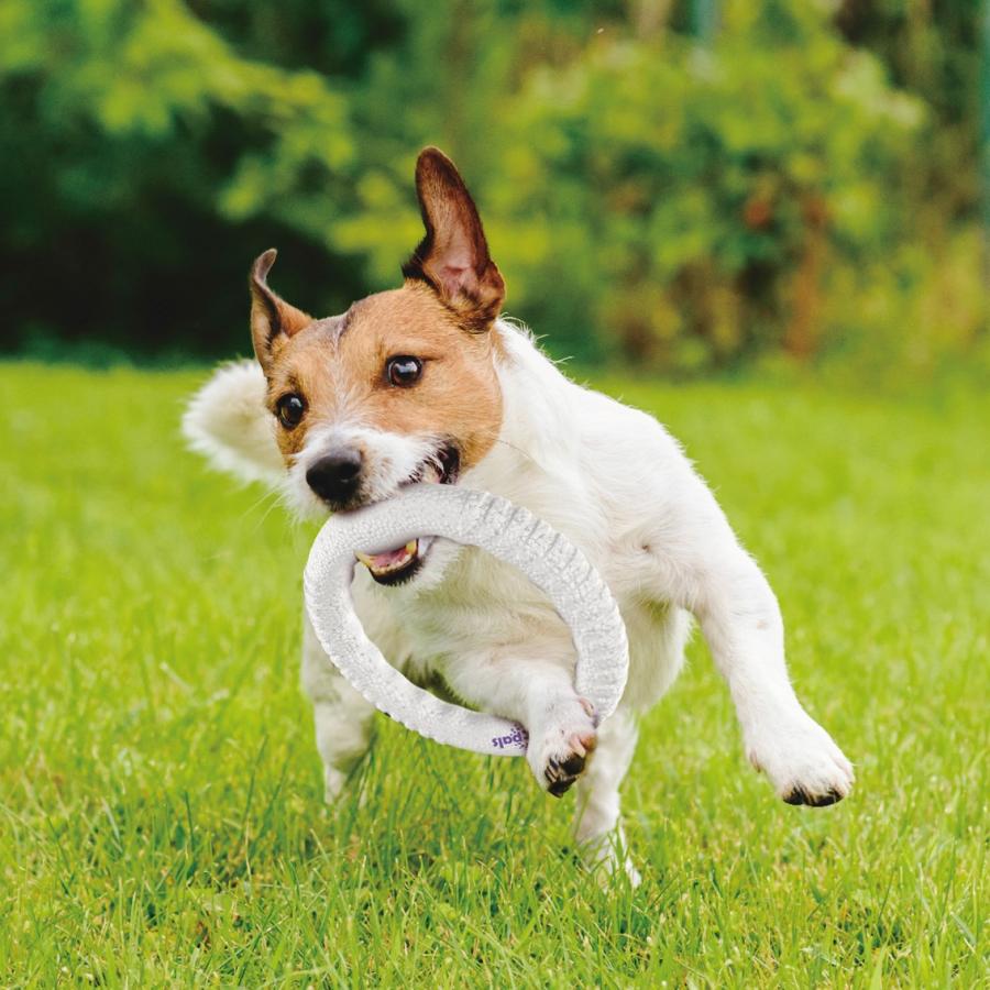 GiGwi（ギグウィ） 犬 ペット 犬おもちゃ 頑丈 壊れにくい 丈夫