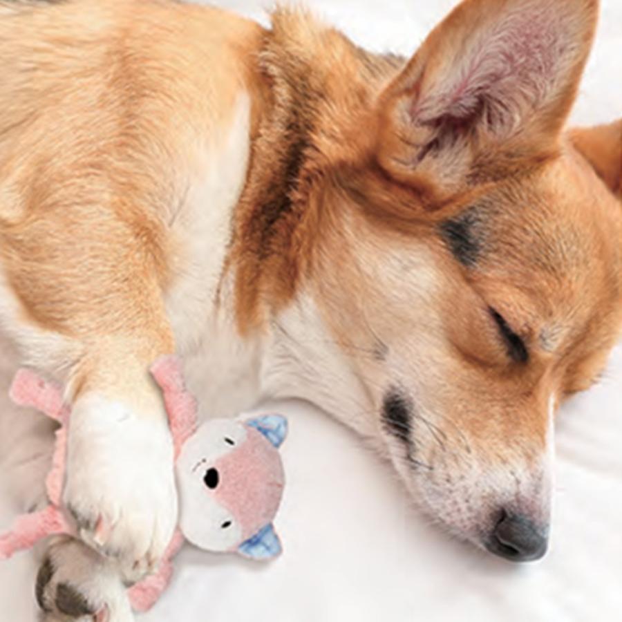 GiGwi（ギグウィ） 犬 おもちゃドッグトーイ ぬいぐるみ カシャカシャ