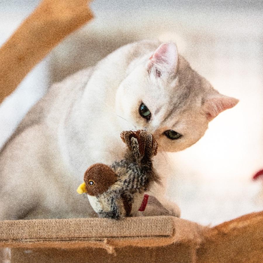 GiGwi（ギグウィ） 猫 猫おもちゃ ぬいぐるみ キャットトイ サウンド